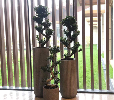 綠植租擺案例
